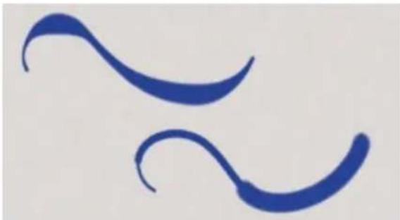 COREL Painter 2015 - Options Taille - 5