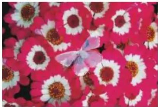 COREL Painter 2015 - Dissous - 3