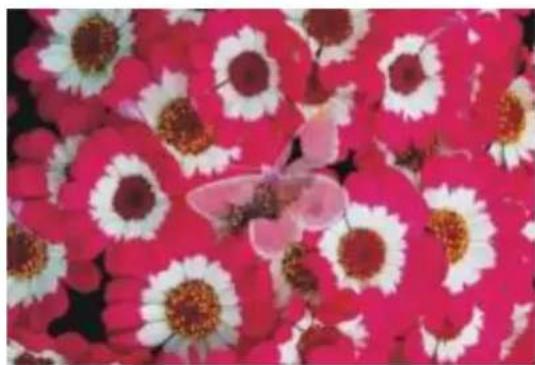 COREL Painter 2015 - Teinte - 2