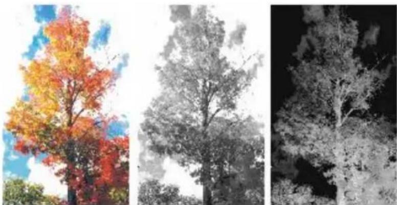 COREL Painter 2015 - Génération automatique de canaux - 1