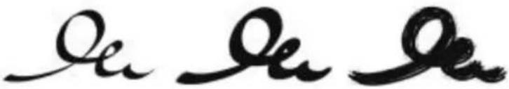 COREL Painter 2015 - Plumes - 2