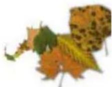 COREL Painter 2015 - Jets - 2