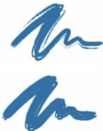 COREL Painter 2015 - Options de la zone Soies statiques - 4