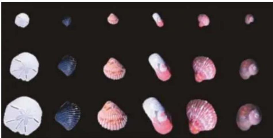 COREL Painter 2015 - Pour créer un fichier de jets de rang 2 - 1