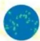 COREL Painter 2015 - Gommes - 2