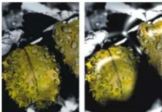 COREL Painter 2015 - Création de placages de réflexion - 1