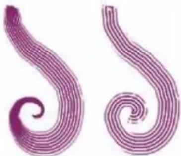 COREL Painter 2015 - Options de la zone Griffe - 3