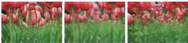 COREL Painter 2015 - Gommes - 5