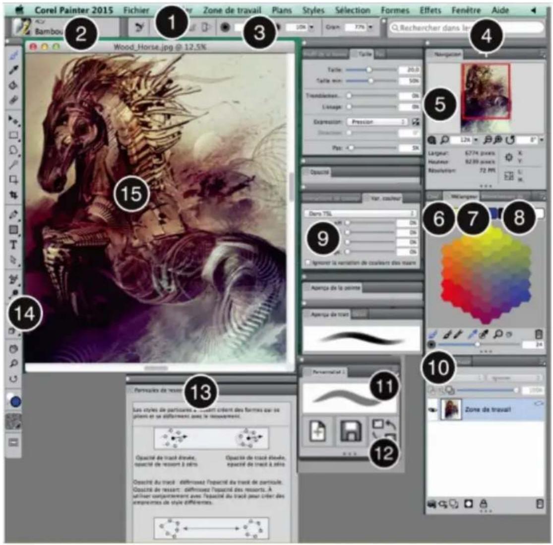 COREL Painter 2015 - Exploration de la fenêtre de document - 1