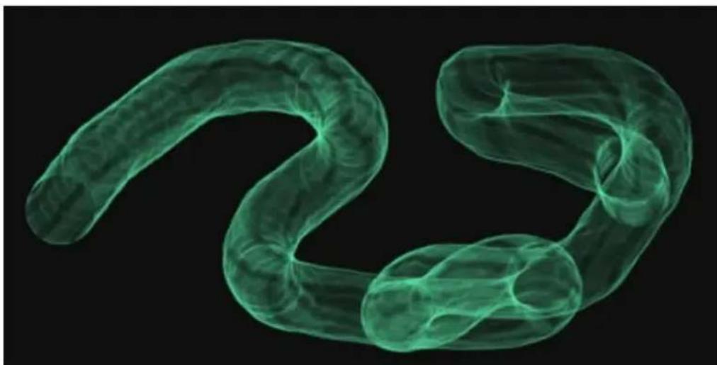 COREL Painter 2015 - Options des styles de particules à ressort - 3