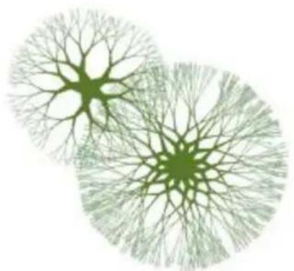 COREL Painter 2015 - Application de l'effet Arbuste - 1