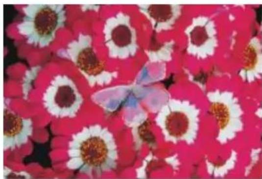 COREL Painter 2015 - Assombrir - 2