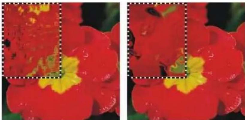 COREL Painter 2015 - Vous pouvez également - 2