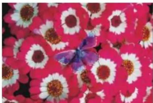 COREL Painter 2015 - Incrustation - 3