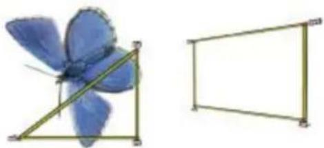 COREL Painter 2015 - Variante du style Duplicateurs à points multiples Exemple - 3