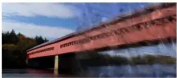 COREL Painter 2015 - Duplicateurs - 1