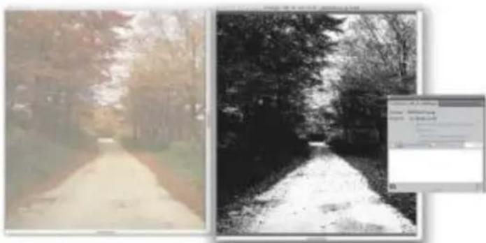 COREL Painter 2015 - Modification, mise à jour, enregistrement et exportation des images sources de répliques - 1