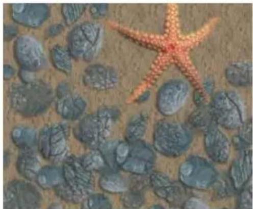 COREL Painter 2015 - Création d'un fichier de jets de rang 3 - 2