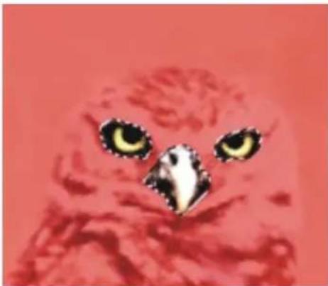 COREL Painter 2015 - Combinaison de sélections lors de l'enregistrement ou du chargement de canaux alpha - 2