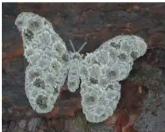 COREL Painter 2015 - Personnalisation des marqueurs - 2