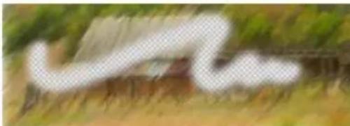COREL Painter 2015 - Options de la zone Général : Méthodes et sous-catégories - 4