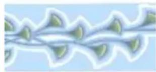 COREL Painter 2015 - Type de motif peint Exemple - 1