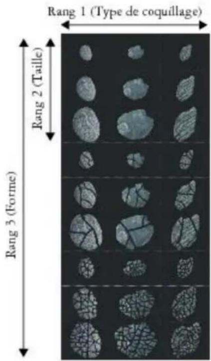 COREL Painter 2015 - Création d'un fichier de jets de rang 3 - 1