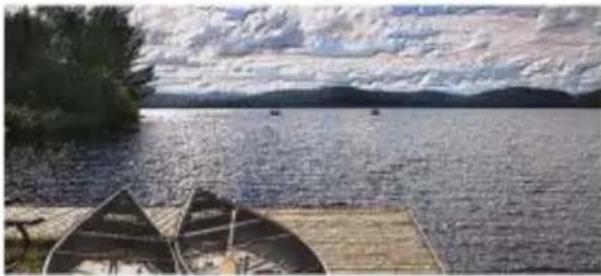 COREL Painter 2015 - Création d'une texture à l'aide de la luminance d'une source de la réplique ou d'un motif - 1