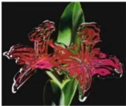 COREL Painter 2015 - Pour créer un plan dynamique Métal liquide - 3