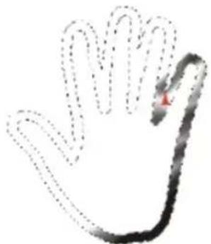 COREL Painter 2015 - Pour modifier le cadre d'une sélection - 1