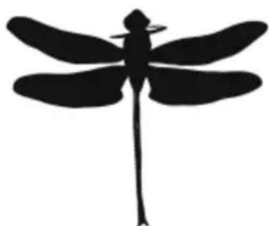 COREL Painter 2015 - Action à réaliser Procédure - 1