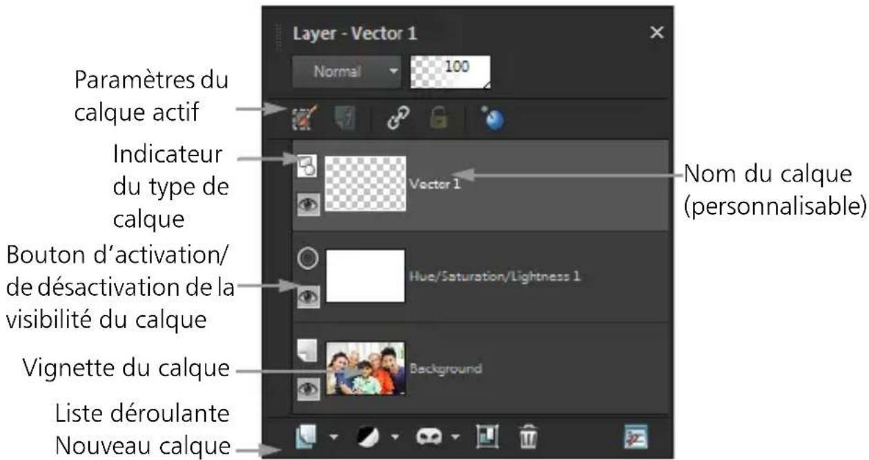 COREL PaintShop Pro X7 Ultimate - Utilisation de la palette Calques - 1