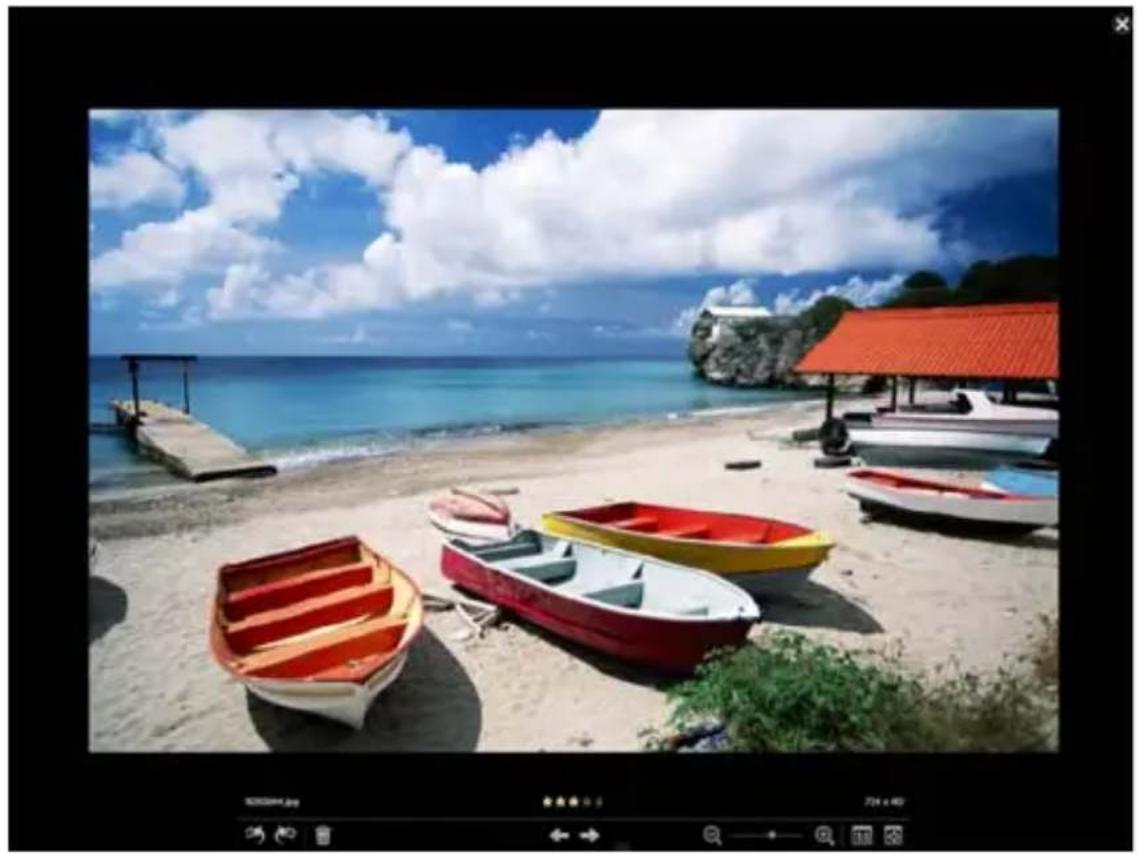 COREL PaintShop Pro X7 Ultimate - Gérez vos photos - 1