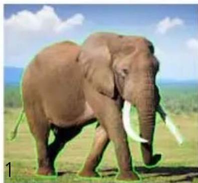 COREL PaintShop Pro X7 Ultimate - Découpe de zones d'image - 1