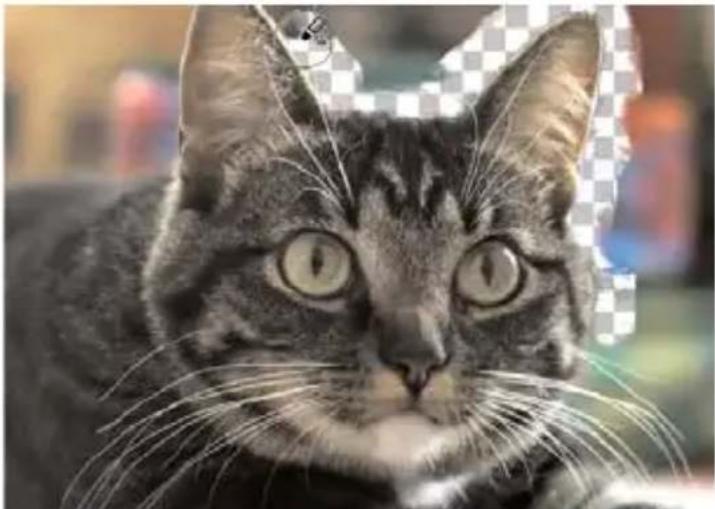 COREL PaintShop Pro X7 Ultimate - Effacement de zones d'une image - 1