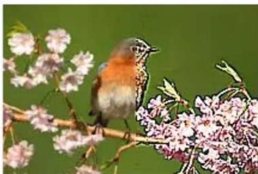 COREL PaintShop Pro X7 Ultimate - Accentuer davantage   Espace de travail Édition - 1