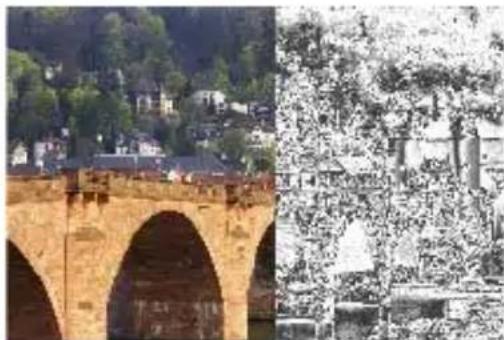 COREL PaintShop Pro X7 Ultimate - Espace de travail Édition - 1