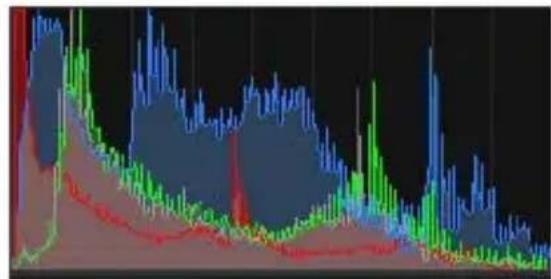COREL PaintShop Pro X7 Ultimate - Graphiques - 6