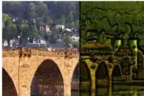 COREL PaintShop Pro X7 Ultimate - Cire chaude - 1