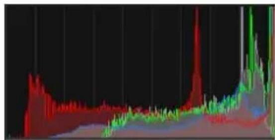 COREL PaintShop Pro X7 Ultimate - Graphiques - 4