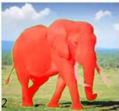 COREL PaintShop Pro X7 Ultimate - Découpe de zones d'image - 2