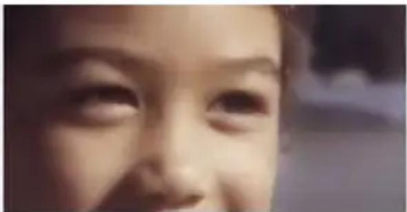 COREL PaintShop Pro X7 Ultimate - Suppression du bruit numérique - 2