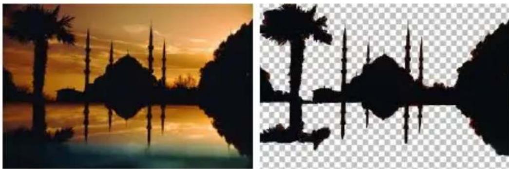 COREL PaintShop Pro X7 Ultimate - Creation de masques - 2