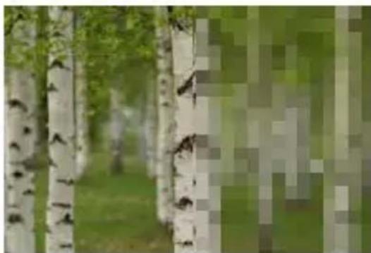 COREL PaintShop Pro X7 Ultimate - Pixelisation - 1