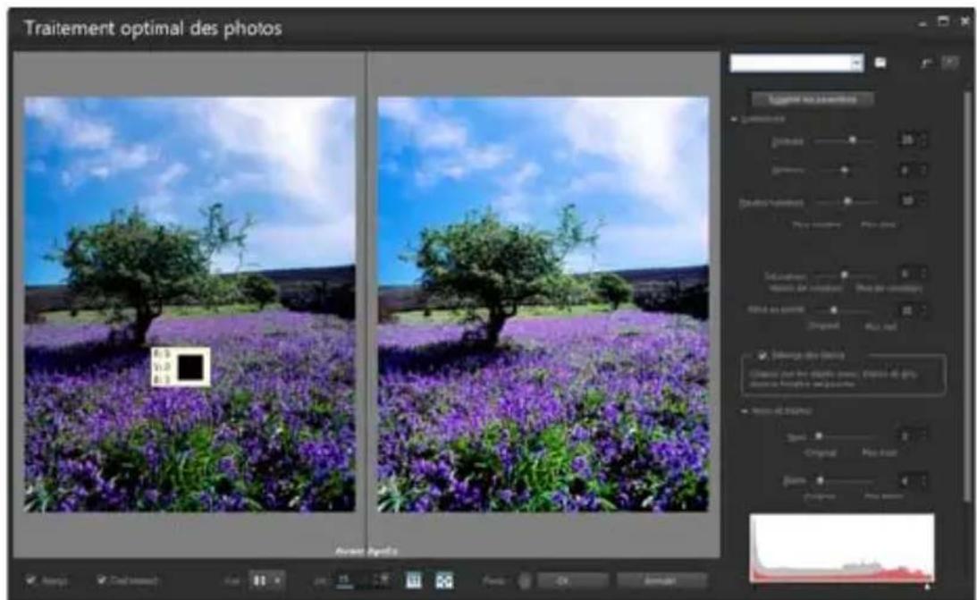 COREL PaintShop Pro X7 Ultimate - Utilisation des boîtes de dialogue - 1