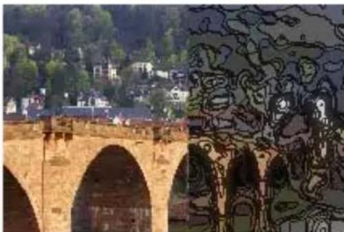 COREL PaintShop Pro X7 Ultimate - Contours - 1