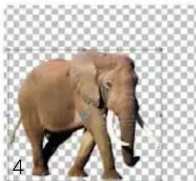 COREL PaintShop Pro X7 Ultimate - Découpe de zones d'image - 4