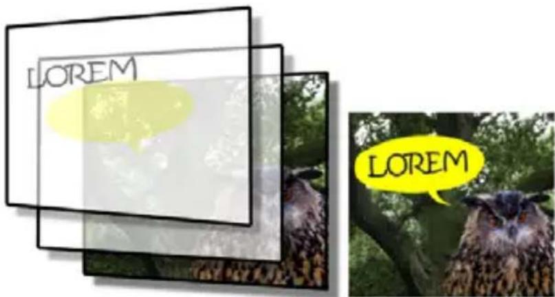 COREL PaintShop Pro X7 Ultimate - Description des calques - 1