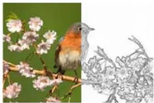 COREL PaintShop Pro X7 Ultimate - Trouver les lignes   Espace de travail Édition - 1