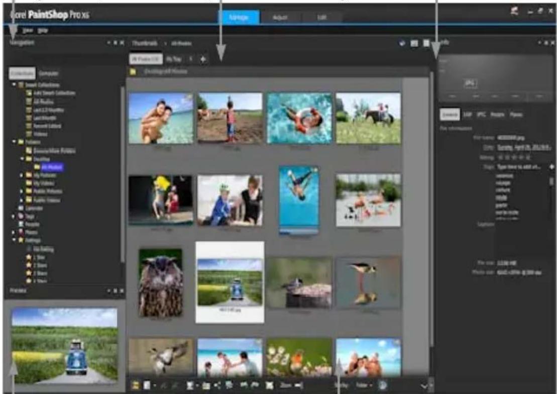 COREL PaintShop Pro X7 Ultimate - Configuration de l'espace de travail Gestion de photos - 2